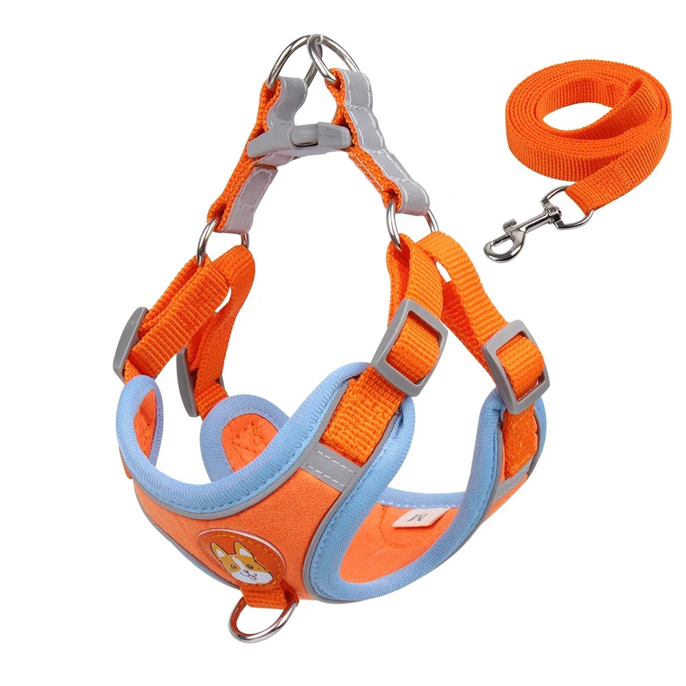 Premium No-Pull Harness & Leash Set™