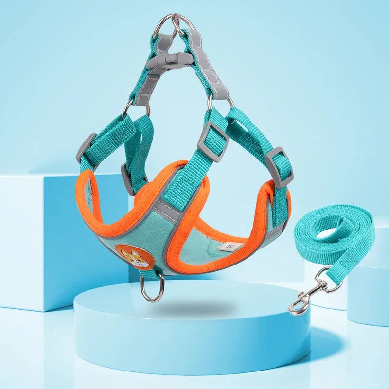 Premium No-Pull Harness & Leash Set™