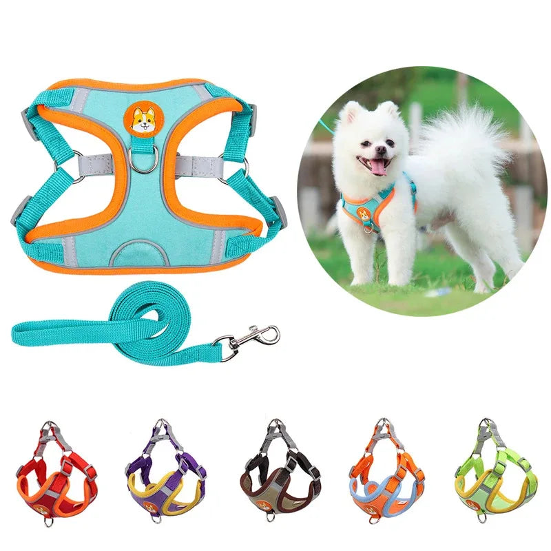 Premium No-Pull Harness & Leash Set™