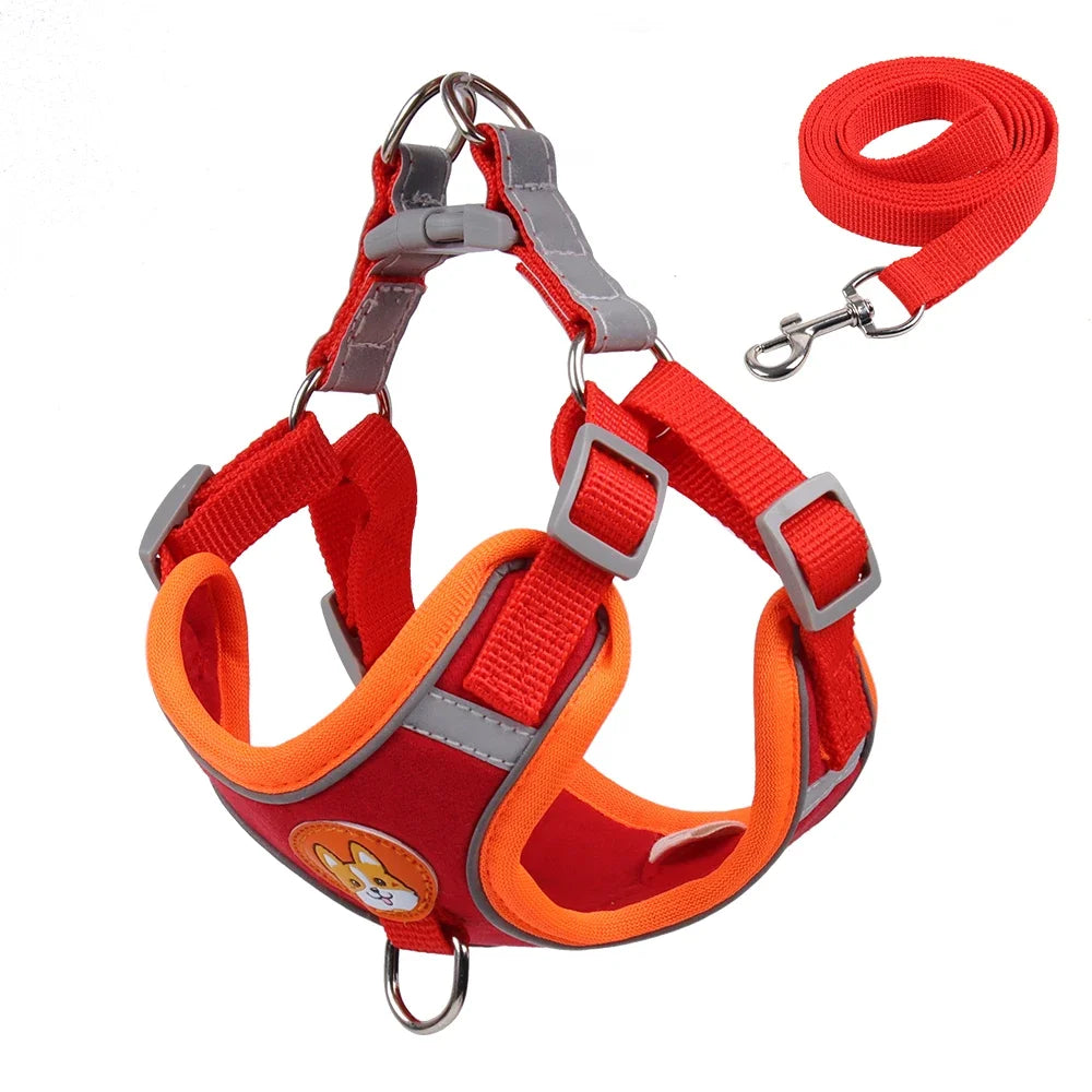 Premium No-Pull Harness & Leash Set™