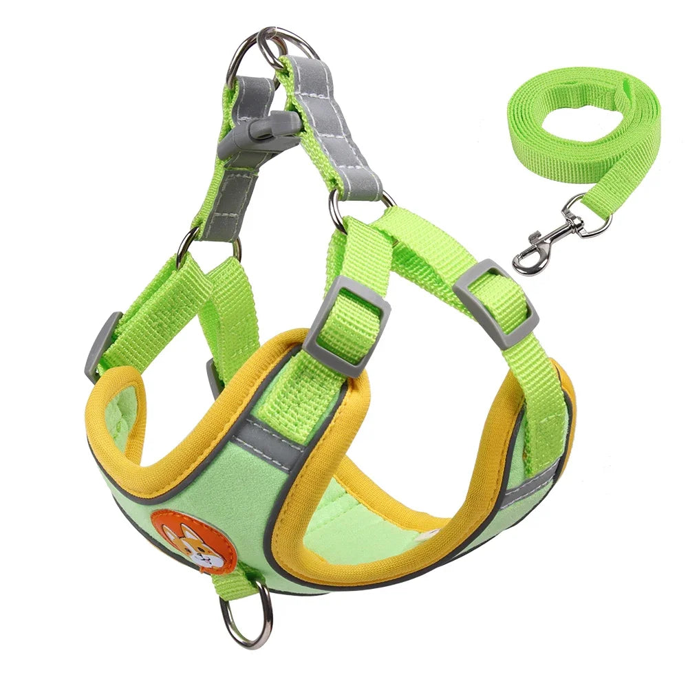 Premium No-Pull Harness & Leash Set™