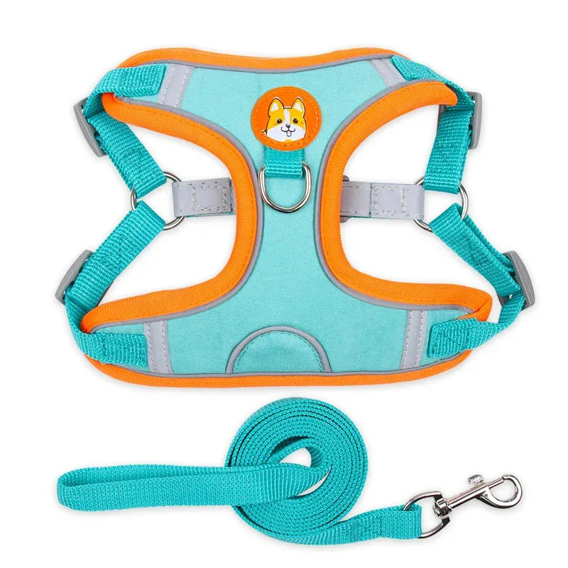 Premium No-Pull Harness & Leash Set™