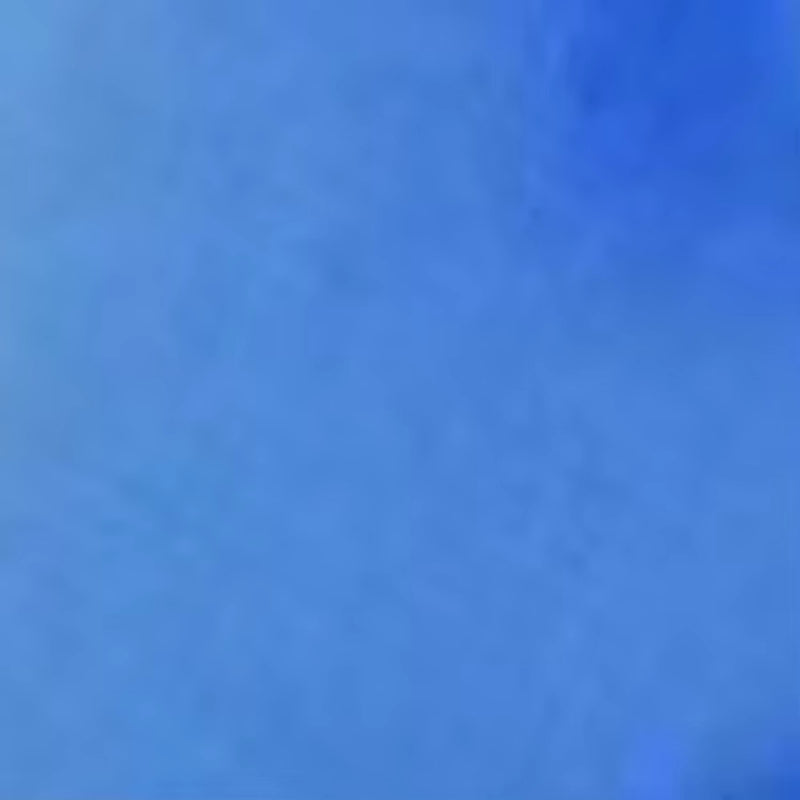 Whisker Bark Haven – Personalized No-Pull Dog Harness (Set with Custom Name & Phone Number)