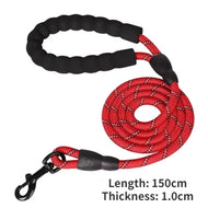 Whisker Bark Haven – Personalized No-Pull Dog Harness (Set with Custom Name & Phone Number)