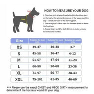 Whisker Bark Haven – Personalized No-Pull Dog Harness (Set with Custom Name & Phone Number)