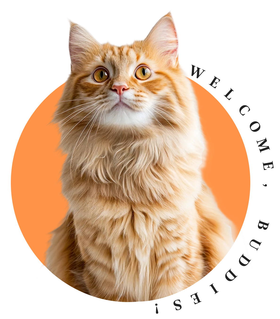 We are Dedicated to the Well-Being of Your Beloved Pets