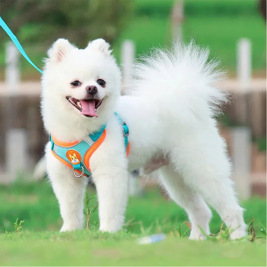 Premium No-Pull Harness & Leash Set™