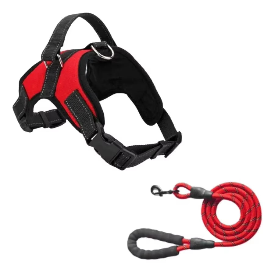 Whisker Bark Haven – Personalized No-Pull Dog Harness (Set with Custom Name & Phone Number)