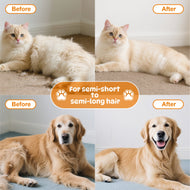 Whisker Bark Haven – Pet Steam Brush for Shedding, Detangling & Deep Grooming